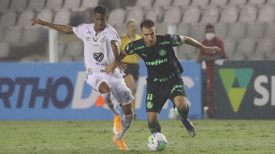 Alan Empereur, zagueiro do Palmeiras, durante jogo contra o Santos - Cesar Greco