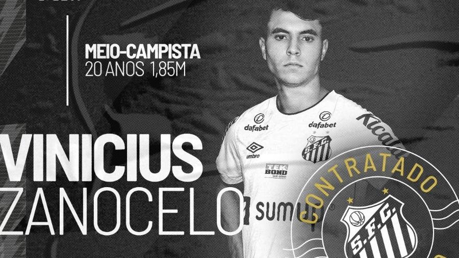Santos anuncia contratação de Vinicius Zanocelo  - Reprodução/Twitter