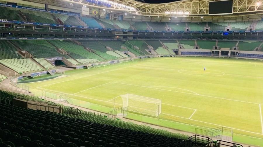 O novo gramado do Allianz Parque