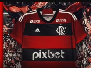 Reprodução / site oficial Flamengo