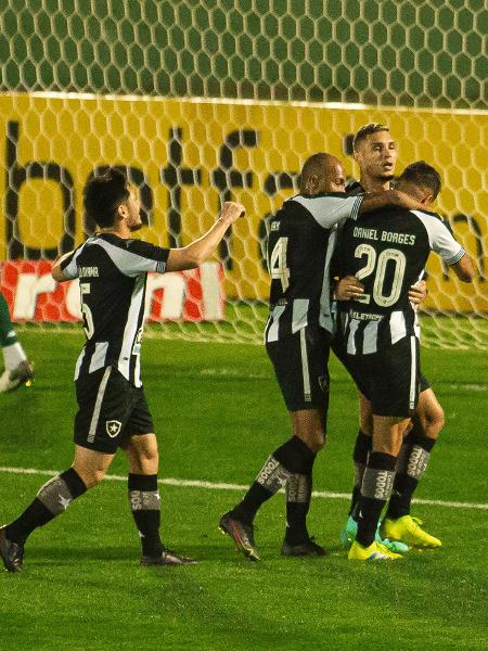 Jogadores do Botafogo comemoram primeiro gol contra o Guarani pela 19ª da Série B - Diogo Reis/AGIF