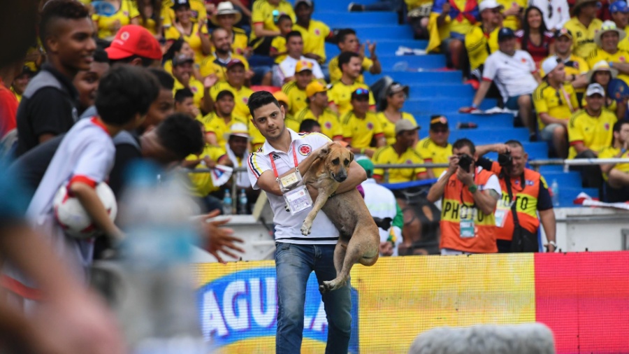 Funcionário tira cachorro do gramado durante jogo da Colômbia contra o Brasil - Luis Acosta/AFP