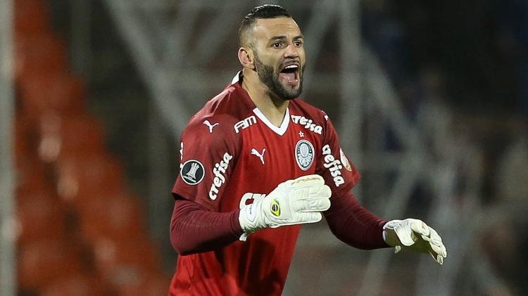 Depois de goleada, Palmeiras reencontra o Santos com foco na liderança