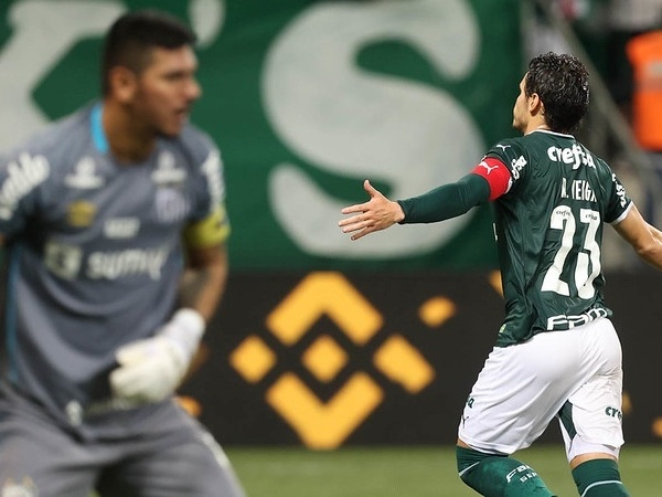Palmeiras precisa de apenas dois pontos para quebrar recorde no Paulistão
