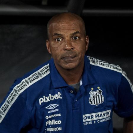 Orlando Ribeiro, técnico do Santos, em jogo contra o Botafogo pelo Brasileirão - THIAGO RIBEIRO/AGIF - AGÊNCIA DE FOTOGRAFIA/ESTADÃO CONTEÚDO