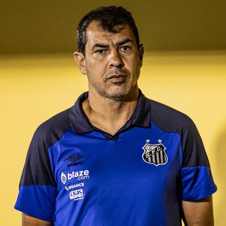 Fábio Carille, técnico do Santos, durante jogo contra o Água Santa - Abner Dourado/AGIF