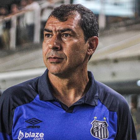 Fabio Carille, técnico do Santos, no jogo contra o Corinthians, pelo Paulistão - Reinaldo Campos/Agif