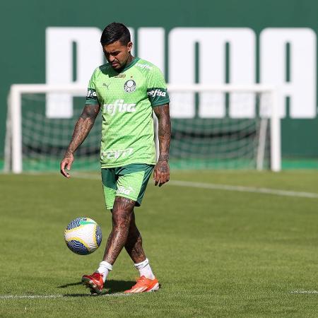 Dudu durante treino do Palmeiras na Academia de Futebol