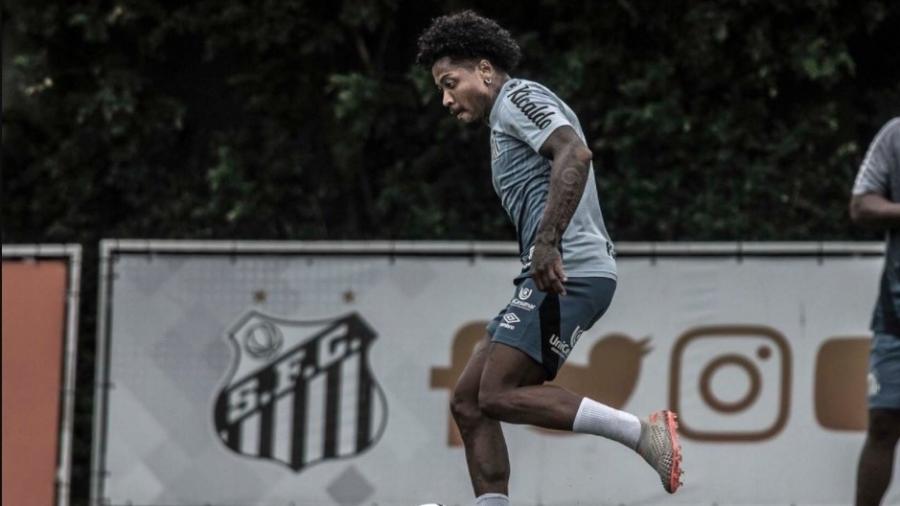 Marinho durante o último treino antes de partida do Santos contra o Ceará - Ivan Storti/Santos FC/Divulgação