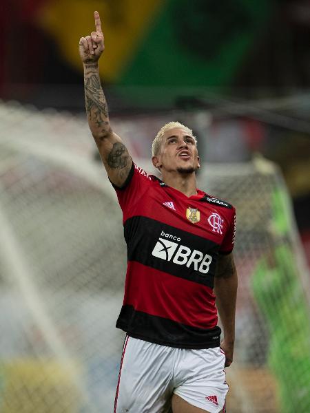  Pedro jogador do Flamengo comemora seu gol durante partida contra o Palmeiras  - Jorge Rodrigues/AGIF