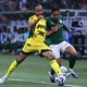 Palmeiras vacila, empata com Mirassol e não vence há 3 jogos no Brasileirão