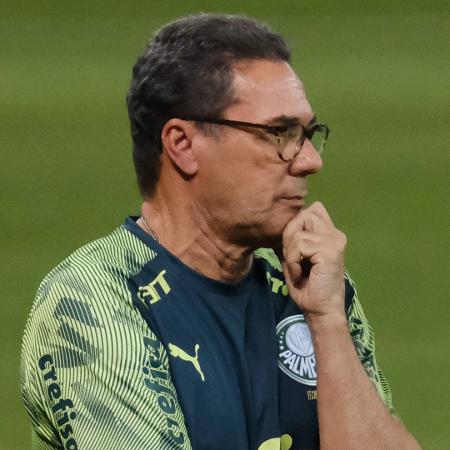 Vanderlei Luxemburgo, técnico do Palmeiras, durante partida contra o Sport - Marcello Zambrana/AGIF