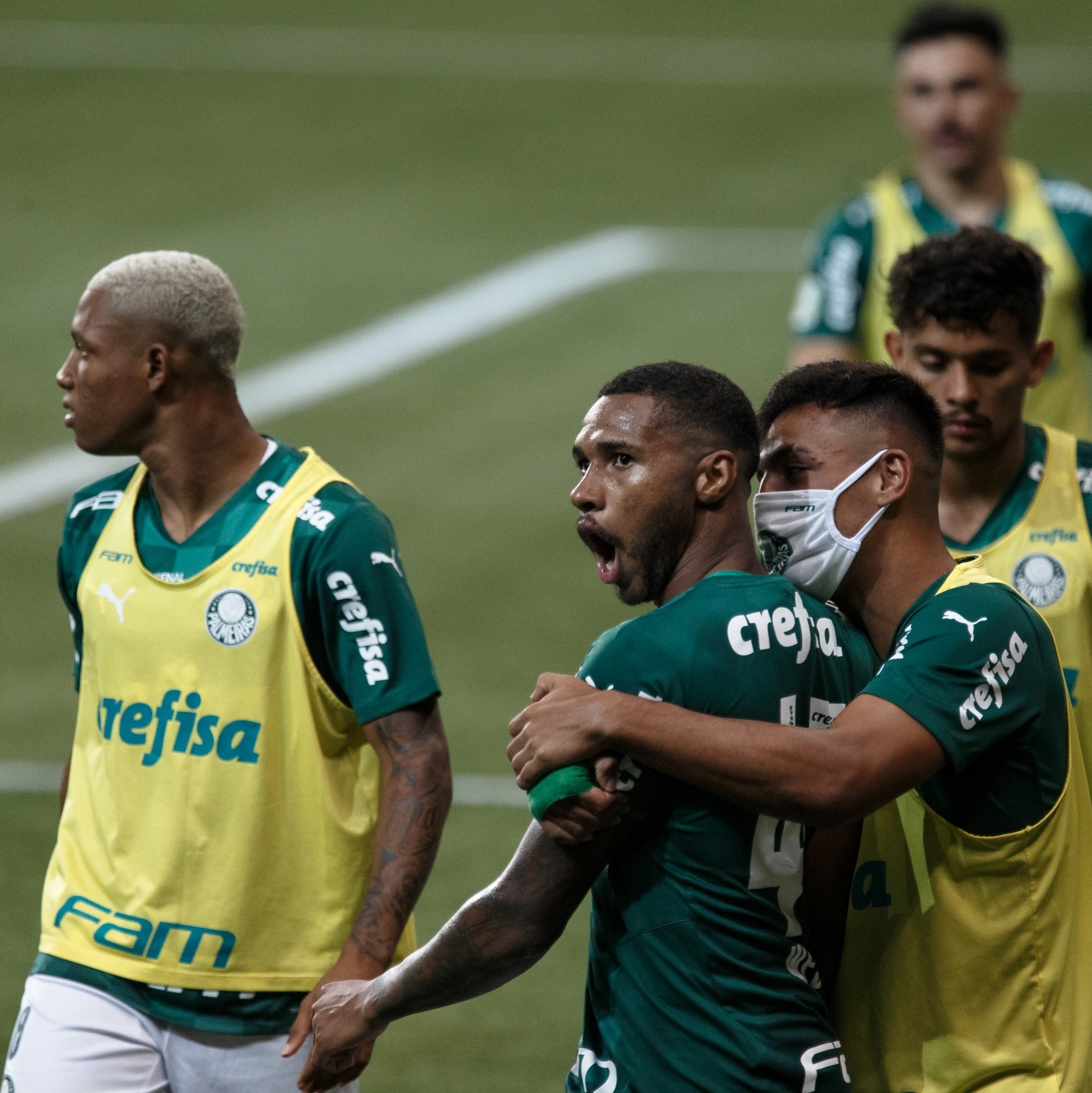 Os heróis do Verdão na conquista do 24º título paulista – Palmeiras