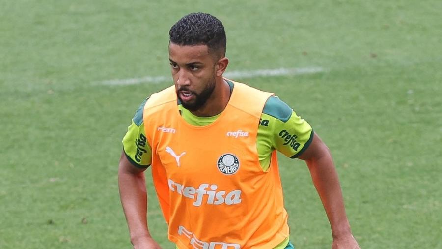 Palmeiras é 3º clube brasileiro a jogar todos os jogos de uma temporada -  02/02/2021 - UOL Esporte