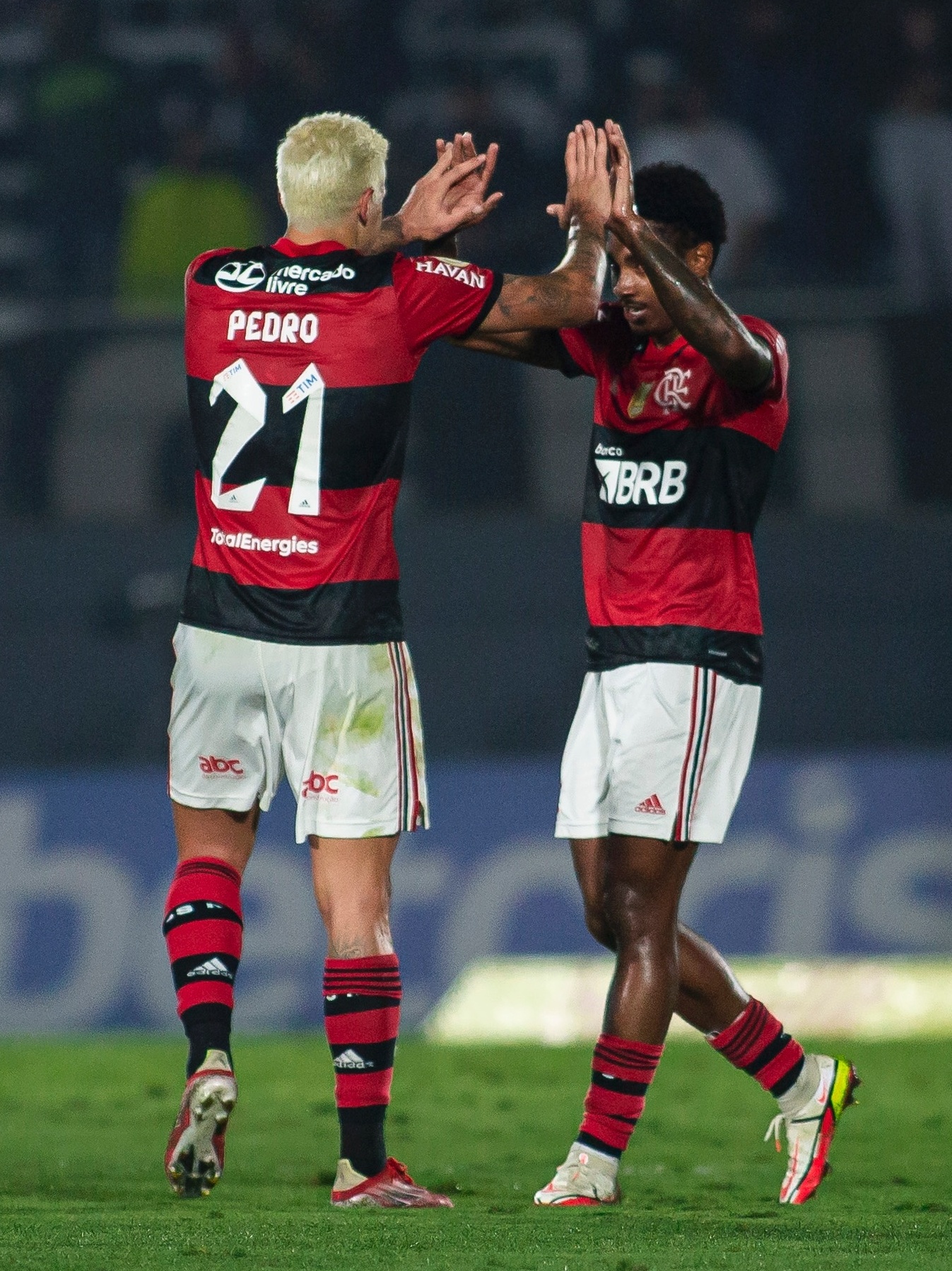 meiao flamengo moss