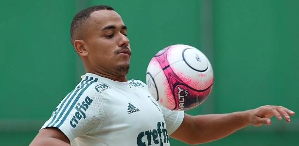 Jovem Papagaio iniciou o treino como titular nesta quinta-feira - Palmeiras/Divulgação