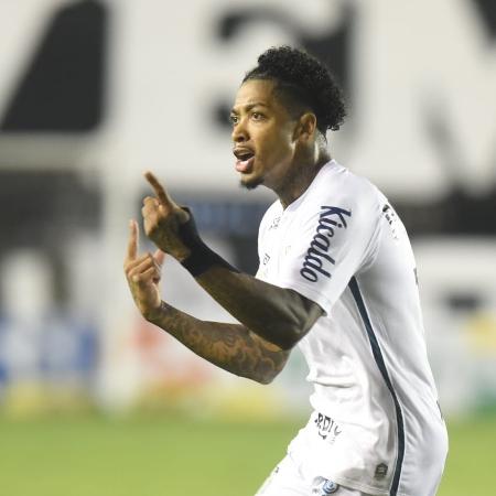 Marinho comemora gol do Santos contra o São Paulo em clássico do Brasileirão 2020 - Divulgação/SFC