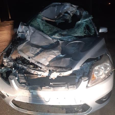 Frente do carro do atacante Moisés, da Ponte Preta, fica destruída após acidente em Santa Catarina - Divulgação