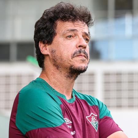 Fernando Diniz, técnico do Fluminense, durante jogo contra o América-MG - Gilson Junio/AGIF