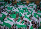Pesquisa: Palmeiras supera São Paulo em ranking de torcidas; Fla lidera