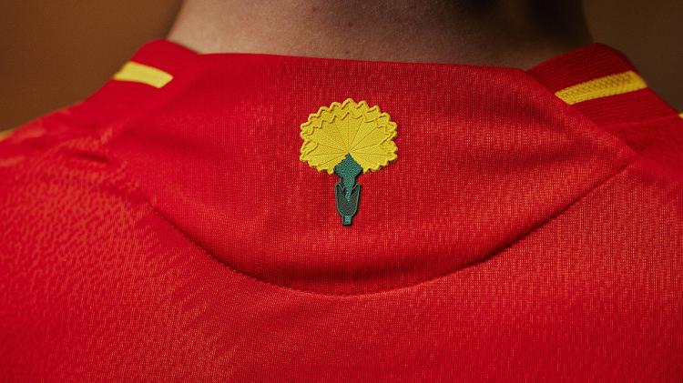 Cravos, símbolo da Espanha, na parte de trás de sua camisa nova