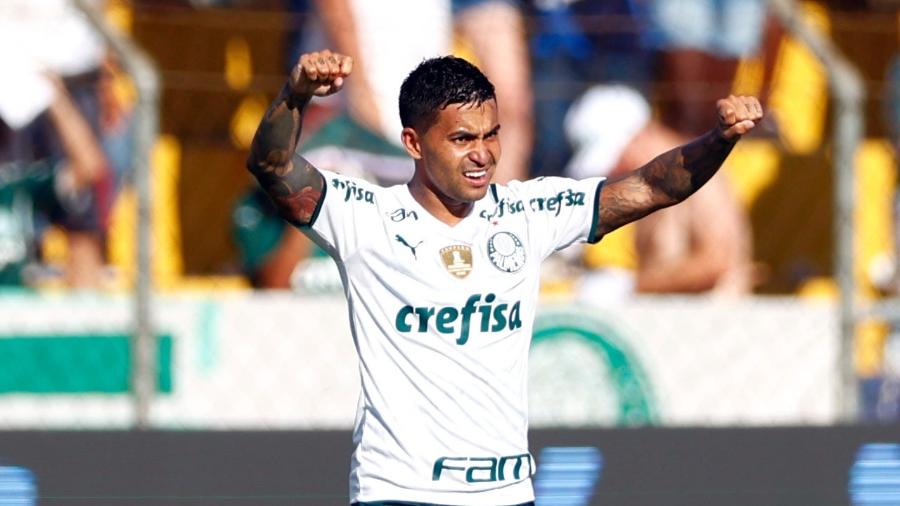 Dudu comemora gol marcado pelo Palmeiras contra o Novorizontino - Thiago Calil/AGIF
