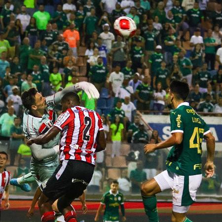 Goleiro Michael, do Botafogo-SP, afasta cruzamento em jogo contra o Palmeiras no Campeonato Paulista