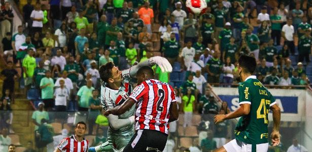 Destaque de Piquerez e Goleiro em Palmeiras x Botafogo-SP: notas e análise.