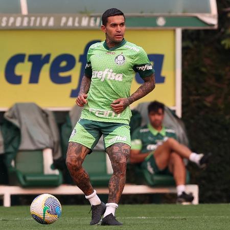 Dudu, jogador do Palmeiras, durante treino na Academia de Futebol