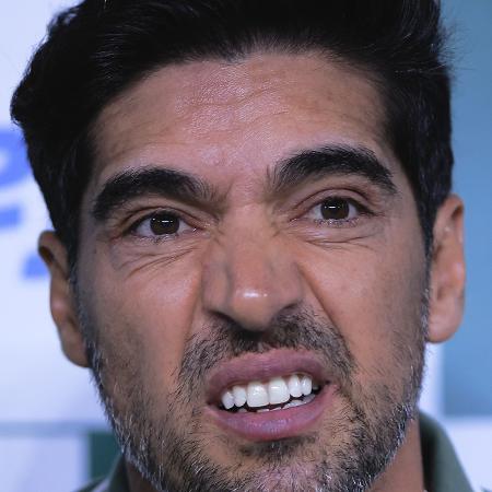 Abel Ferreira, técnico do Palmeiras, durante jogo contra o Botafogo