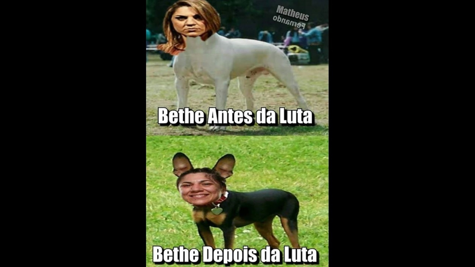 Torcedores fazem piadas na Internet com a vitória de Ronda Rousey sobre Bethe Correia - Reprodução