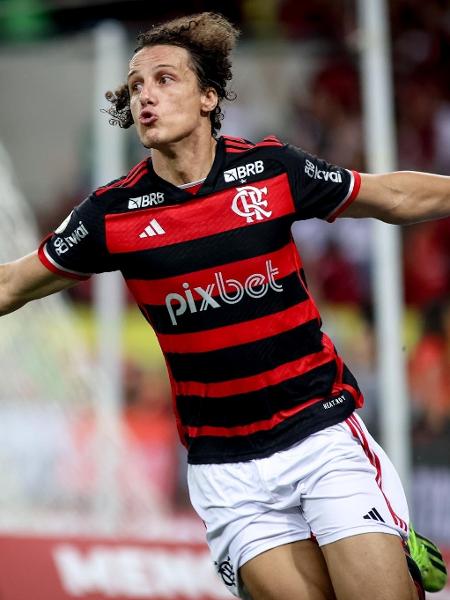 David Luiz comemora após anotar gol pelo Flamengo contra o Bahia, pelo Campeonato Brasileiro
