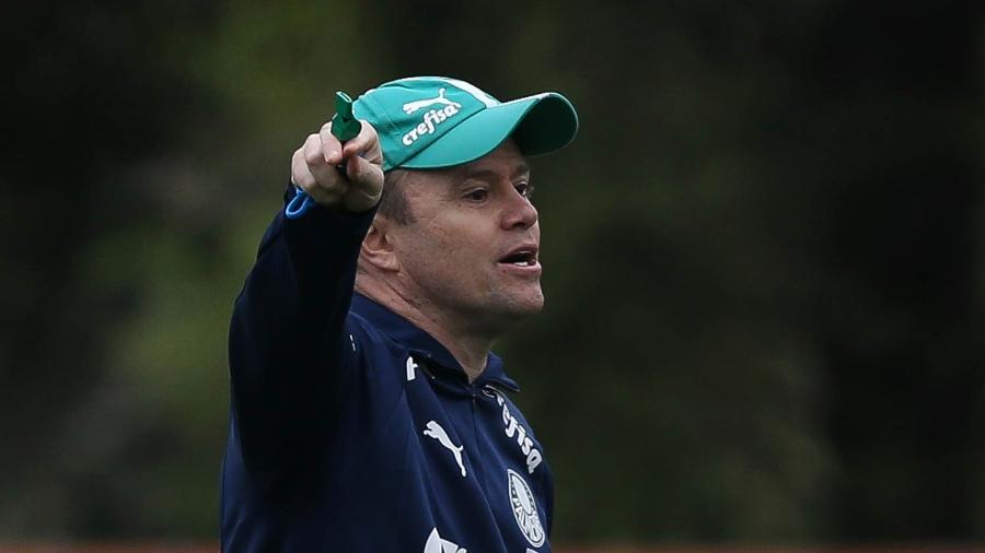 Andrey Lopes, auxiliar do Palmeiras que será técnico até fim de 2019 - Cesar Greco/Ag. Palmeiras/Divulgação