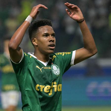 Estêvão, do Palmeiras, durante jogo contra o Botafogo, pela Libertadores