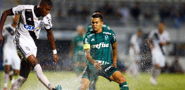 Dudu, do Palmeiras, tenta interceptar passe no encharcado gramado do estádio da Ponte - Thiago Calil/AGIF