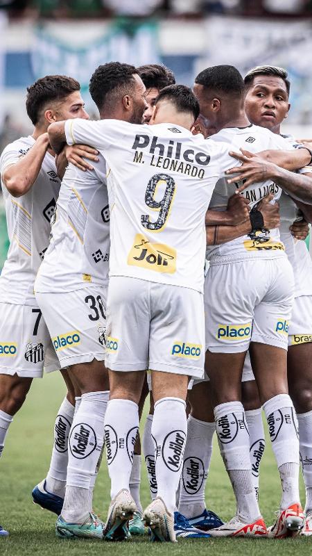 Santos sofre primeira perda após queda para série B e liga alerta