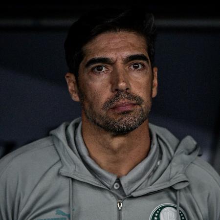 Abel Ferreira, técnico do Palmeiras, durante jogo contra o Botafogo, pelo Brasileirão