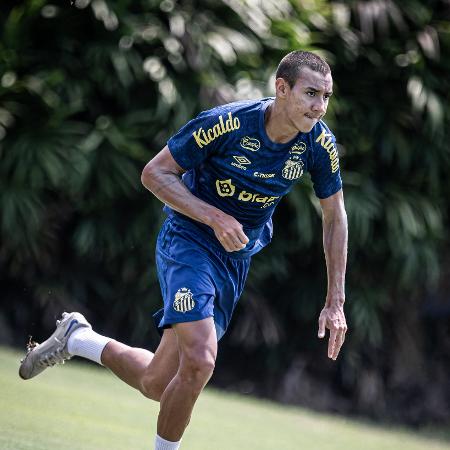 Gabriel Bontempo, do Santos - Raul Baretta/Santos FC