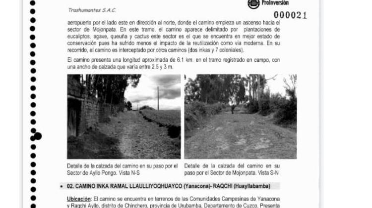 Trashumantes - Reprodução - Reprodução