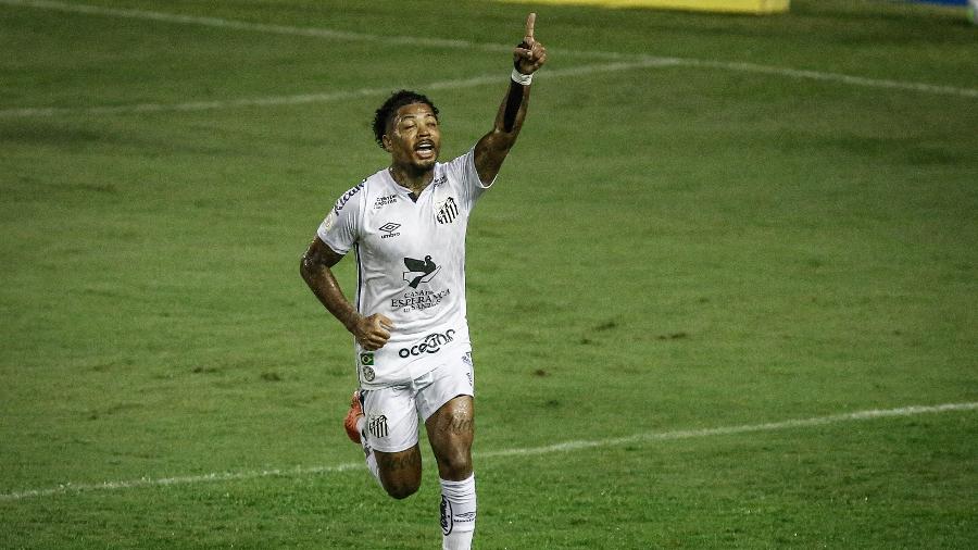 Marinho comemora gol marcado contra o Sport, que deu vitória ao Santos - Paulo Paiva/AGIF
