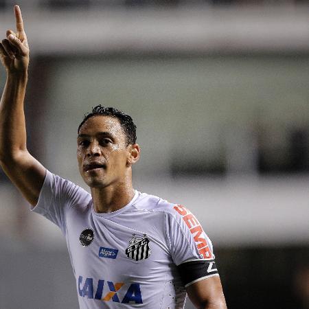 Ricardo Oliveira pede atenção para o Santos na reta final da Série B