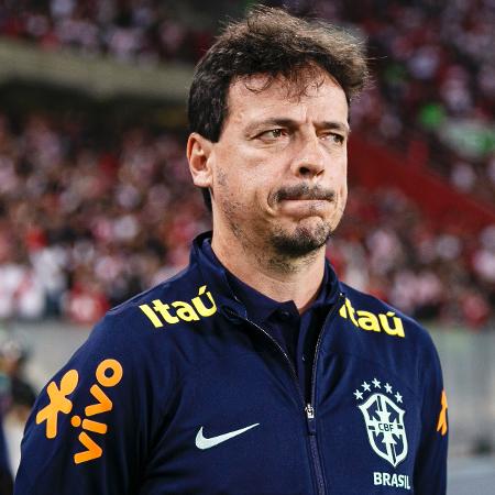 Fernando Diniz, ex-técnico da seleção brasileira