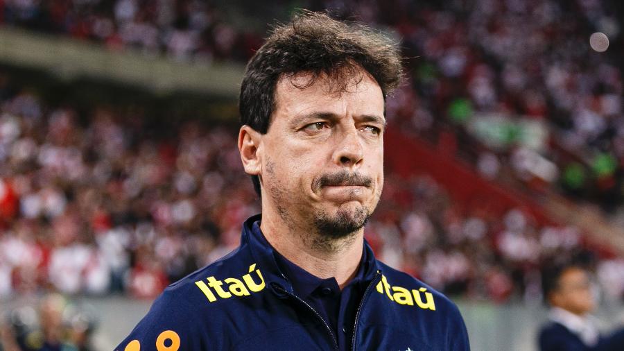 Fernando Diniz, técnico da seleção brasileira, durante jogo contra o Peru