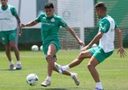 Palmeiras se reapresenta e inicia preparação para decisão com River Plate