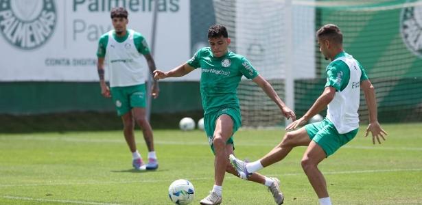 Palmeiras se reapresenta e inicia preparação para decisão com River Plate