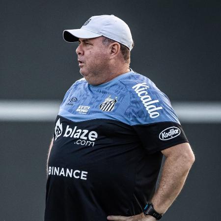 Marcelo Fernandes, técnico interino do Santos, em treino