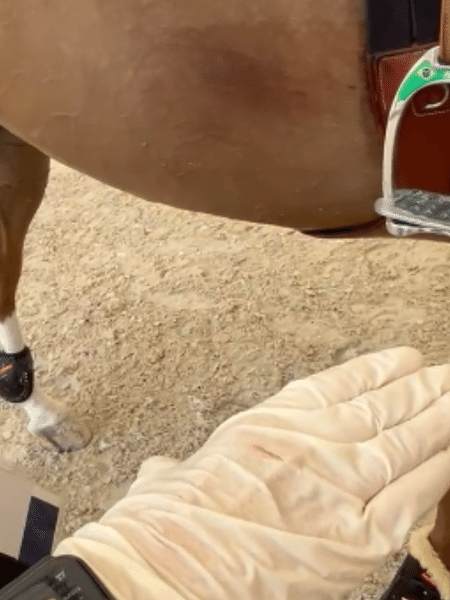 Sangue encontrado no cavalo de Pedro Veniss em vistoria após prova do hipismo nas Olimpíadas de Paris