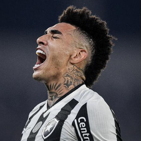 Igor Jesus, do Botafogo, convocado para a seleção, é destaque do líder