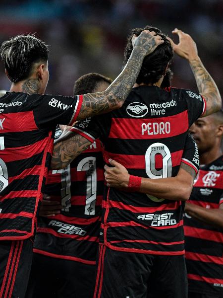 Jogadores do Flamengo comemoram gol de Pedro contra o Nova Iguaçu, na final do Carioca