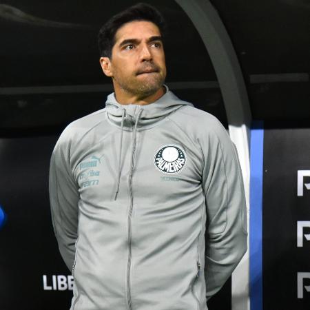 O Palmeiras fará ao menos oito jogos em agosto de 2024